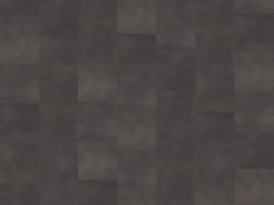 Peckham dryback anthracite