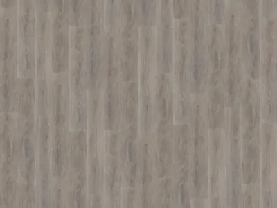 Parramatta dryback grey oak