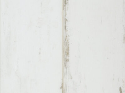 Coretec The Essentials PVC Plank Painted Oak 02 1200+ -  50 LVPE 1302
